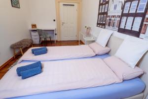 Zimmer mit 2 Betten und blauen Kissen in der Unterkunft Central Living Vegova-with parking in Ljubljana