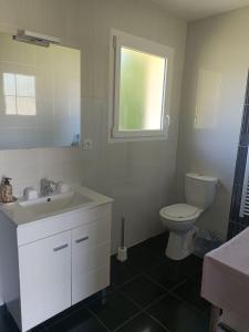baño con lavabo y aseo y ventana en La Cazaline en Cazaux