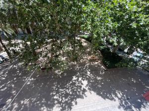 Fotografia z galérie ubytovania Valencia Apartament Encantador v destinácii Valencia