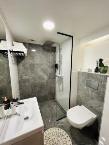 ein Bad mit einer Dusche, einem Waschbecken und einem WC in der Unterkunft Võru Studio Apartment in Võru