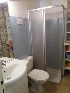 a bathroom with a toilet and a shower and a sink at Gîte Saint Michel 2 étoiles in Moulin-Mage