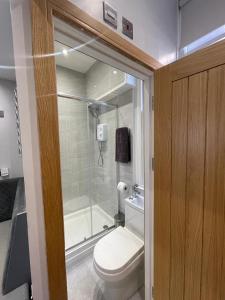 a small bathroom with a toilet and a shower at Belvedere Aparthotel - 83 Mount Pleasant in Liverpool