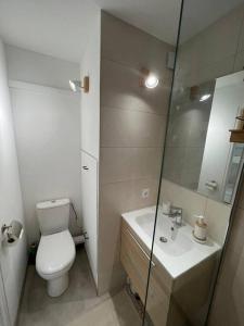 a bathroom with a toilet and a sink and a mirror at Les Tropéziennes in Cogolin