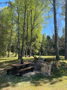 een picknicktafel in een park met bomen bij Emakaru Puhkemaja in Otepää