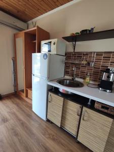 a kitchen with a white refrigerator and a microwave at Guest House Odessa Sea in Odesa