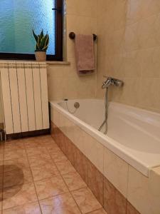 baño con bañera y ventana en Apartment Kolodvor en Dornberk