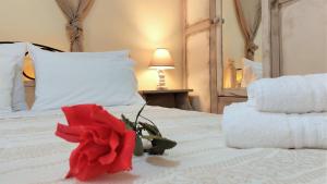 Gallery image of Lourantos Studios & Apartments in Vathi, Ithaka +56 photos