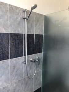 łazienka z prysznicem z głowicą prysznicową w obiekcie HOSTEL Wesendorf Residenz w mieście Wesendorf