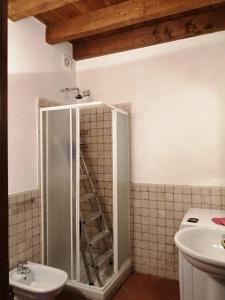 ein Bad mit einer Dusche, einem WC und einem Waschbecken in der Unterkunft Garda Lake Dana Home in Salò