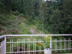 Zahrada ubytování Creek Way Munnar
