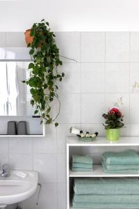 a bathroom with a sink and a plant on a shelf at Casa Ruth Brissago in Brissago