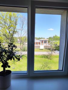 a window with a potted plant and a view of a yard at Station street apartments in Sigulda