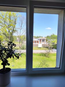 a window with a potted plant and a view of a yard at Station street apartments in Sigulda +4 photos