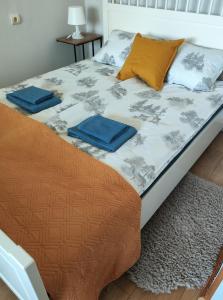 a bed with two blue pillows on it at Station street apartments in Sigulda