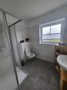 a bathroom with a toilet and a sink and a window at Ferienwohnung Landblick in Steenfeld