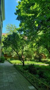 Vonkajšia záhrada v ubytovaní Quiet Apartment Koscielna Old Town