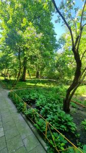 Vonkajšia záhrada v ubytovaní Quiet Apartment Koscielna Old Town