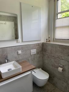 baño con aseo y lavabo y ventana en Klosterloft - Modernes Apartment in historischer Klosteranlage, en Ravensburg