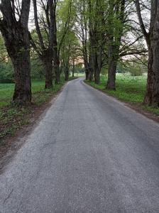 an empty road with trees on either side at Mežvītoli in Mercendarbe