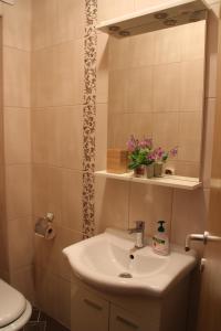een badkamer met een wastafel en een toilet bij Apartman Mama in Trebinje +10 foto's