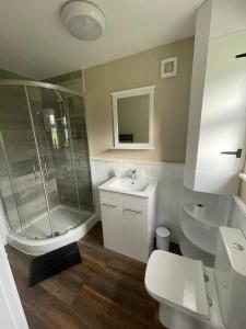 a bathroom with a shower and a sink and a toilet at Tyddyn Bach Bunkhouse in Betws-y-coed