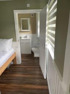 a small bathroom with a toilet and a sink at Tyddyn Bach Bunkhouse in Betws-y-coed