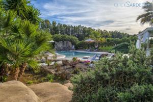 una piscina en un jardín con palmeras en Maison du Bonheur Exclusive Retreat for Peace of Mind, en Olmedo