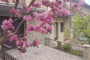 un árbol con flores rosas delante de un edificio en La Casina di Nonna Giulia, en Castiglione dʼOrcia
