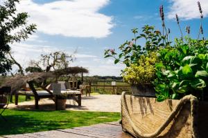 a garden with flowers and a table and a bench at Agriturismo Sweet Cottage in Marina di Grosseto