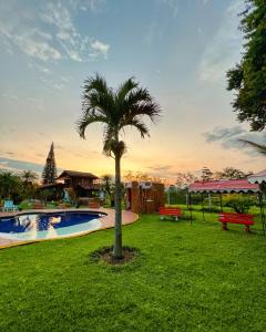 a palm tree in the grass next to a swimming pool at Casa Lemar in Quimbaya