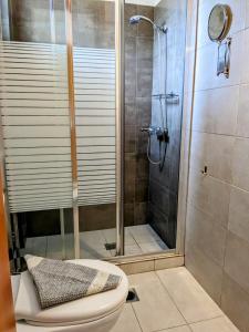 La salle de bains est pourvue d'une douche et de toilettes. dans l'établissement Villa Karina, à Kolios