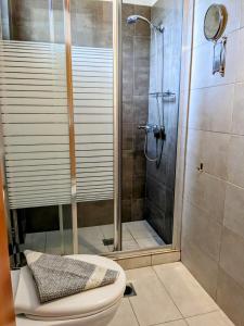 a bathroom with a shower and a toilet at Villa Karina in Kolios