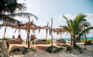 圖盧姆的住宿－GlampIKAL formerly Casa Nawal，海滩上,有椅子和棕榈树,还有大海