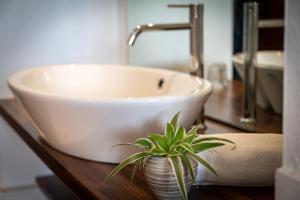 a bathroom with a white sink and a potted plant at Panorama Residence Schlossblick - Apartments Erdgeschoss in Rodengo