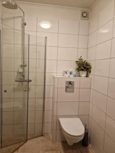 レイクホルトにあるReykholt apartmentのバスルーム(トイレ、ガラス張りのシャワー付)
