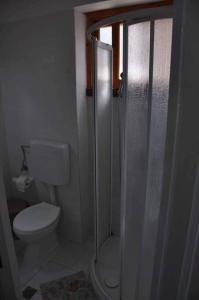 a small bathroom with a toilet and a shower at Evdilos apartments with a view in Evdilos +2 photos