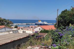 a cruise ship is docked at a harbor at Evdilos apartments with a view in Evdilos