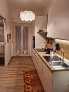 uma cozinha com um lavatório e uma bancada em Casa Sorelle Marchisio em Roma