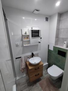 a bathroom with a sink and a toilet and a shower at Apartament w Lądku Zdroju przy Rynku in Lądek-Zdrój