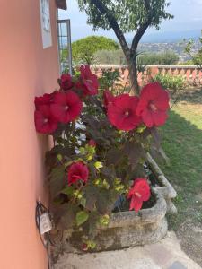 Zahrada ubytování Chambre d'hôtes A l'ancre marine de la Villa Rose