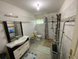 Un baño con lavabo, ducha e inodoro. en Villa l'Exotik, en Les Abymes 8 fotos más