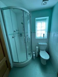 a bathroom with a glass shower and a toilet at The Annexe at Firs House in Bedford