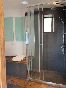 a bathroom with a glass shower with a toilet at Romantic eco retreat in Adeje