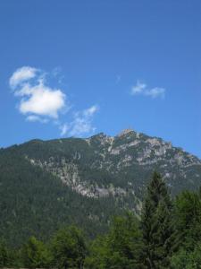 a mountain range with trees and mountains at Hotel Alpspitz B&B Superior in Grainau