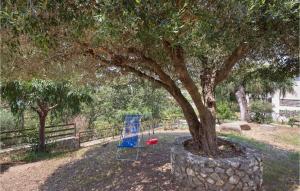 una sedia blu seduta accanto a un albero di Villa Alessia a Santa Maria Altre 20 foto