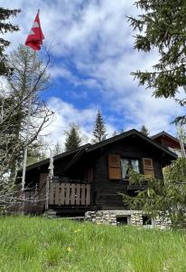 a log cabin with a red flag in front of it at Entire cozy chalet in St-Cergue - 30 min from Geneva in Saint-Cergue