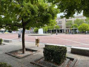 a park with a tree and benches and a fountain at Moderan Studio na Trgu Republike - Centar in Podgorica