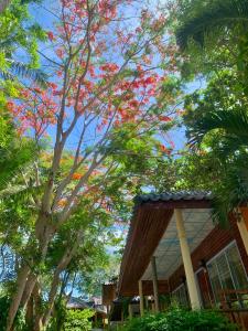 Zahrada ubytování Koh Tao Tropicana Resort