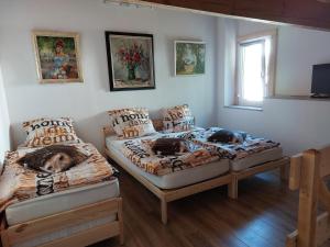 two beds in a room with two dogs on them at Gite de Moulin Maurt 1 in Xertigny