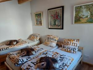 two beds in a room with dogs sleeping on them at Gite de Moulin Maurt 1 in Xertigny